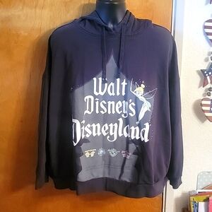 100 Years of Disney Womens Disney Hoodie Size 3XL